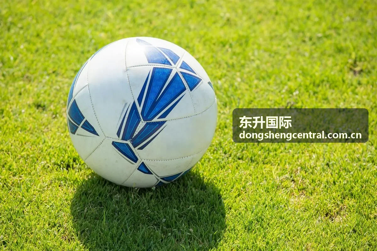 品牌出海前的市场调研策略